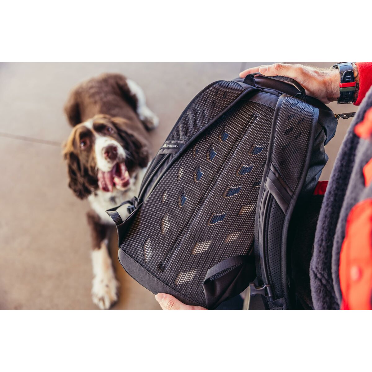 V5HA8D86C3F08B76DBB0C9E647454E8D6EAR6420840P4